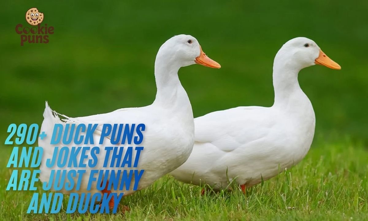 290+ Duck Puns And Jokes That Are Just Funny And Ducky