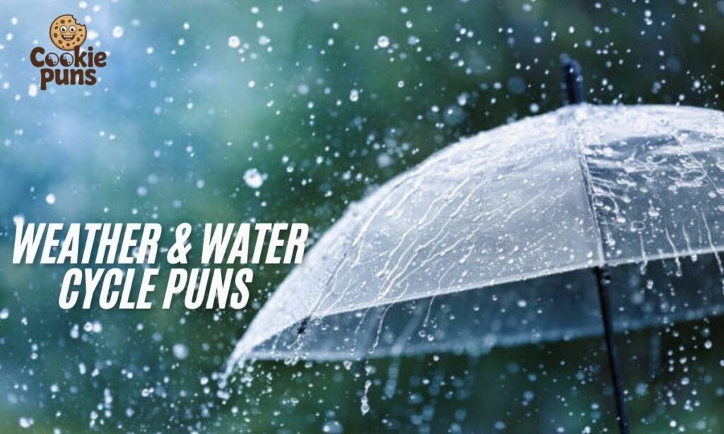 _Weather & Water Cycle Puns