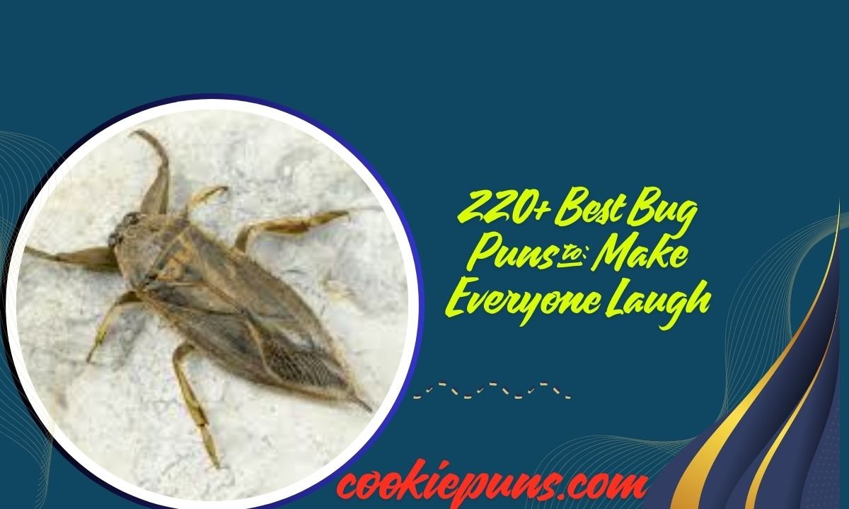 220+ Best Bug Puns to Make Everyone Laugh