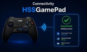 Connectivity HSSGamePad