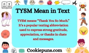 TYSM Mean in Text